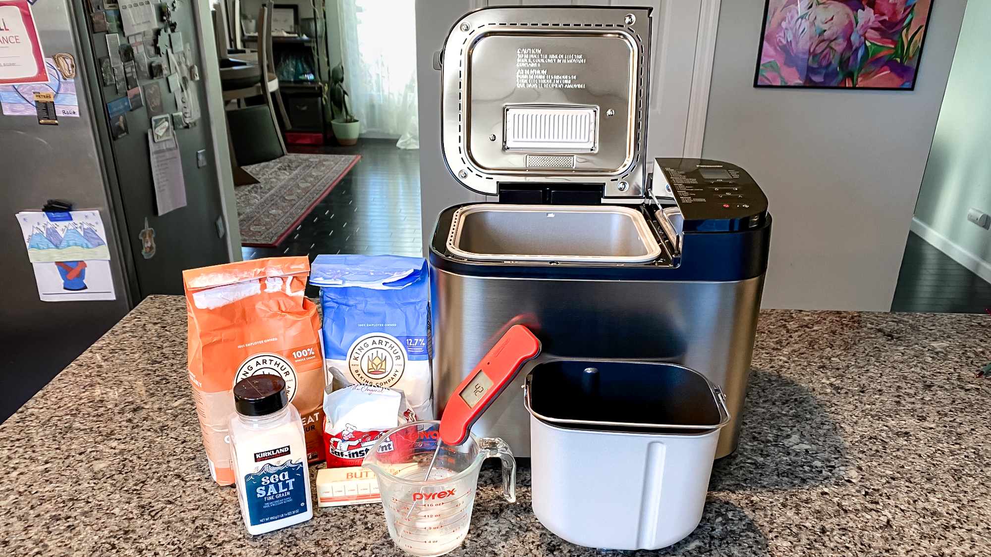 Panasonic Automatic Bread Maker on a kitchen counter