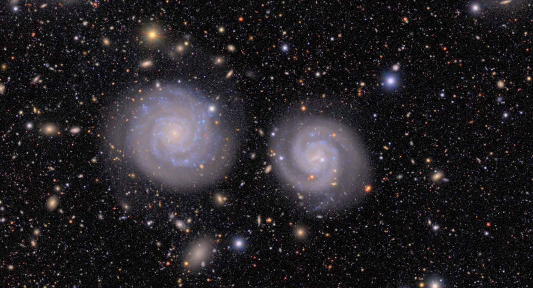 two blue spiral galaxies next to each other against a sparkling sky