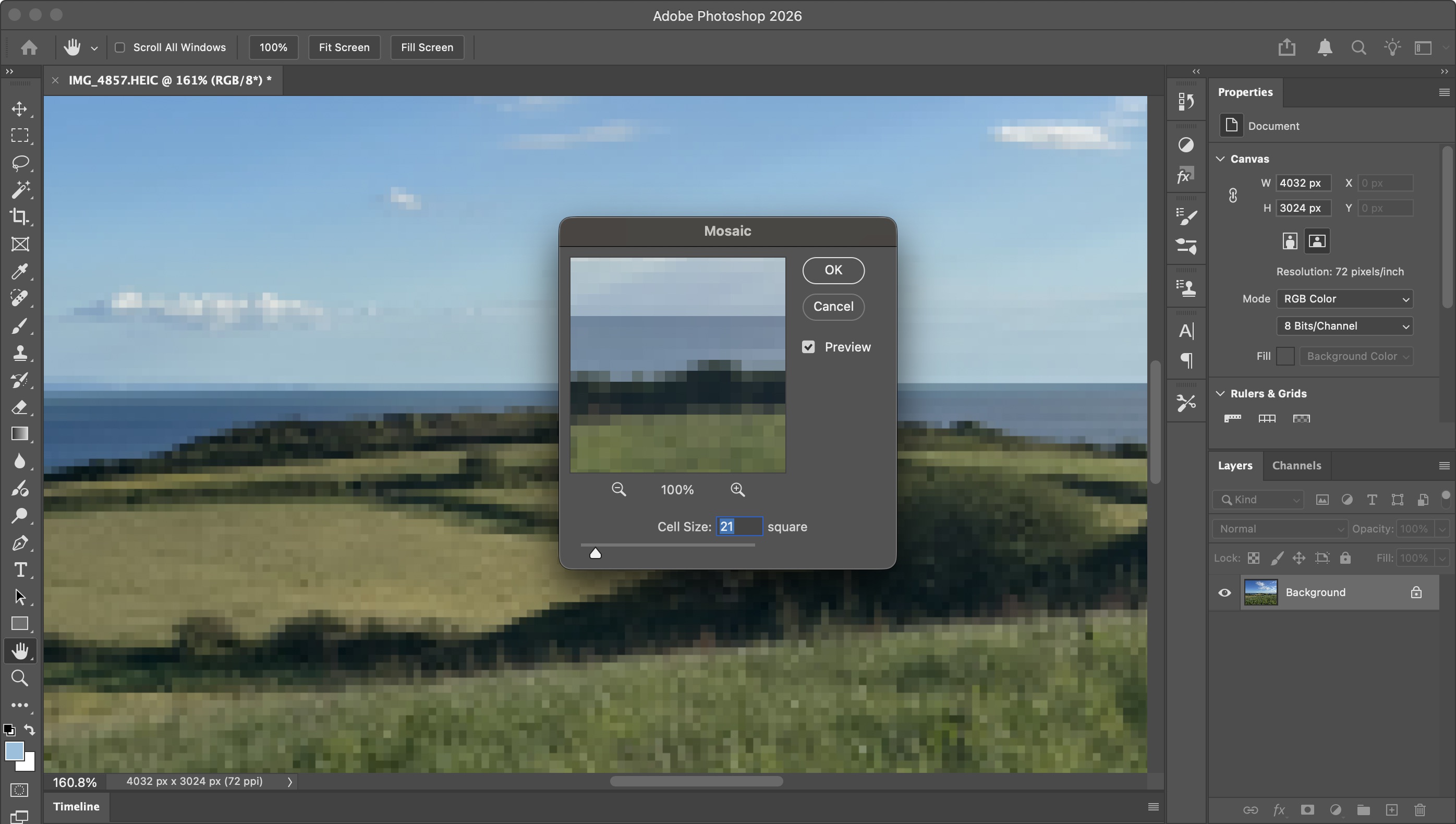 Using various Adobe tools and software to turn photos into cartoons