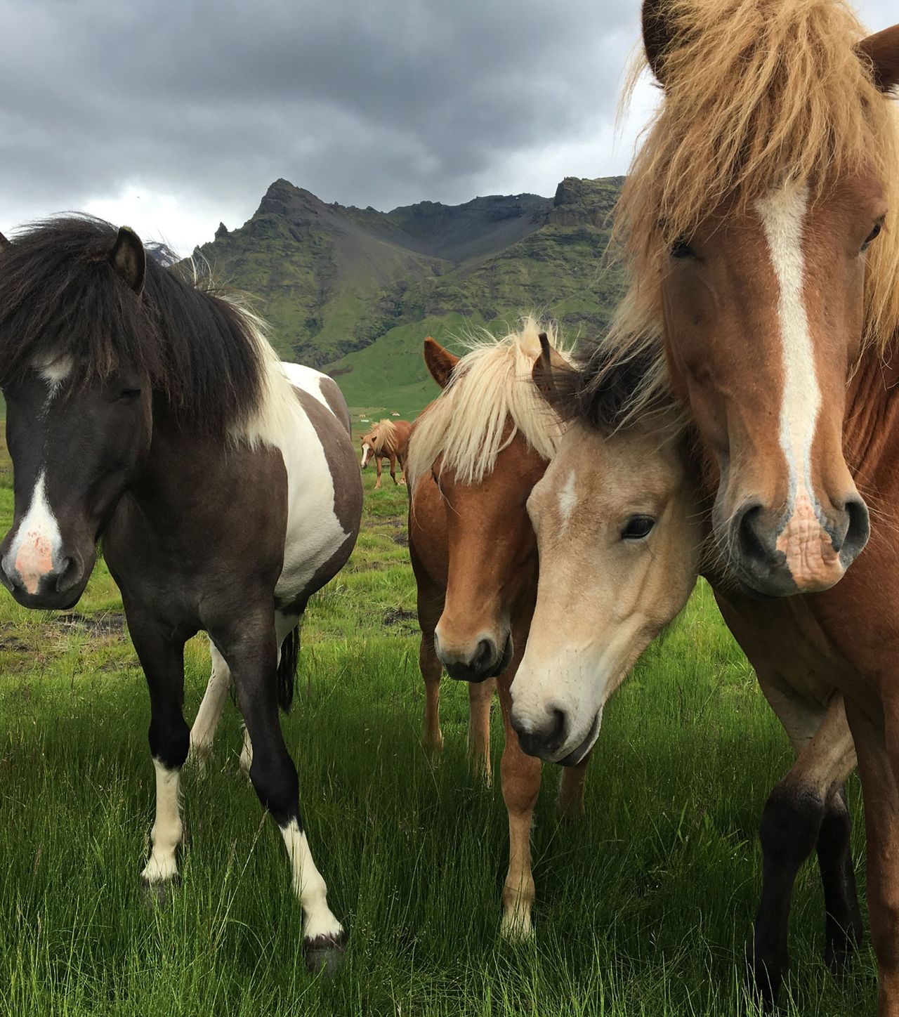 iPhone 6s and 6s Plus camera sample