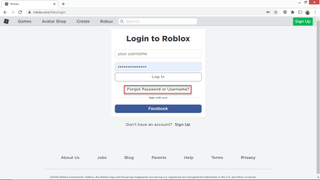 Roblox password