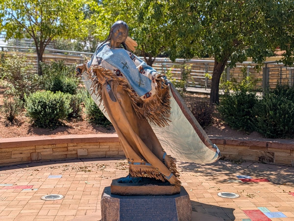 Google Pixel 11 Pro XL camera samples