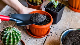 person using trowel to add soil to plantpot