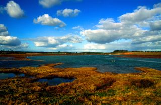 Cumulus clouds over salt marshes