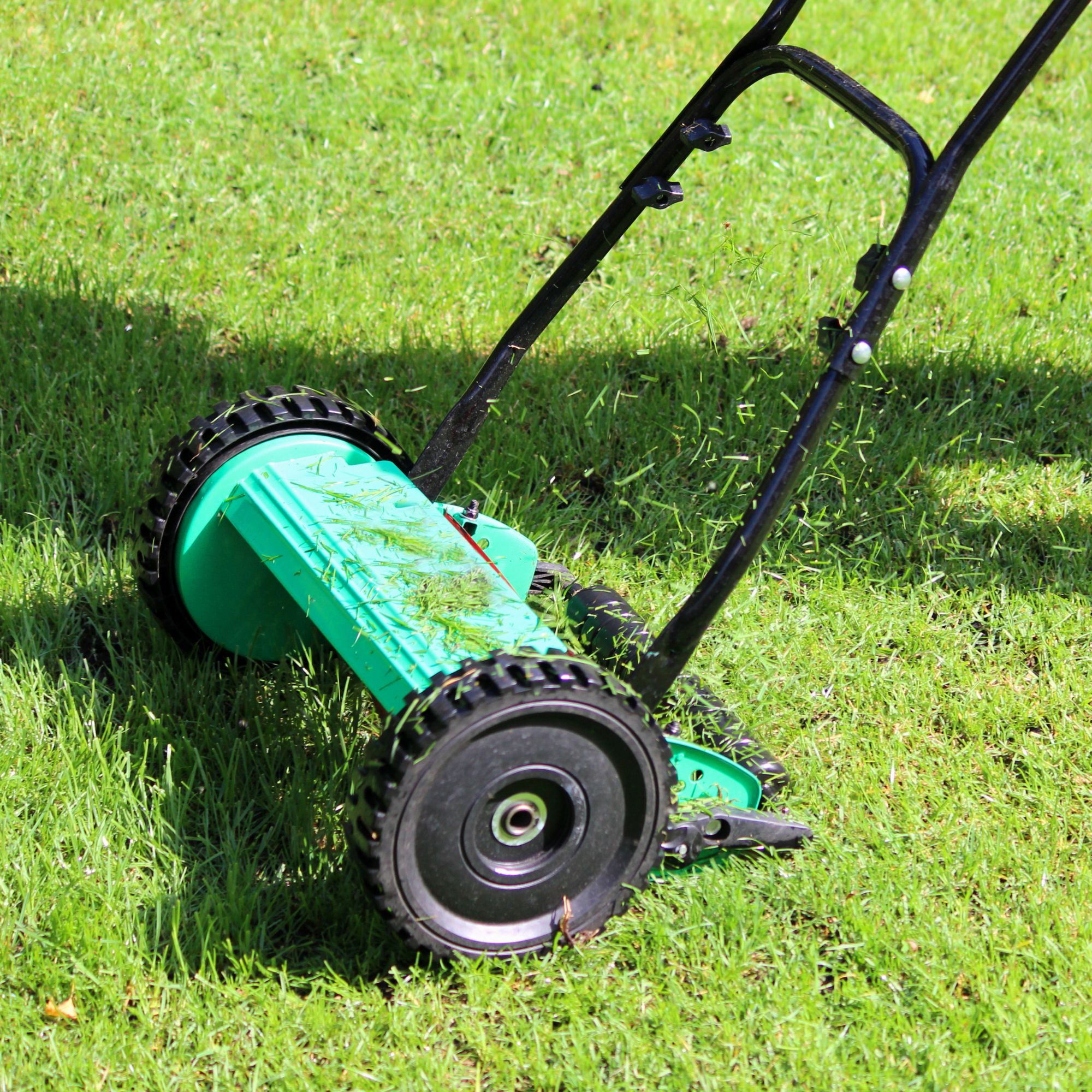 Manual push lawn mower cutting grass