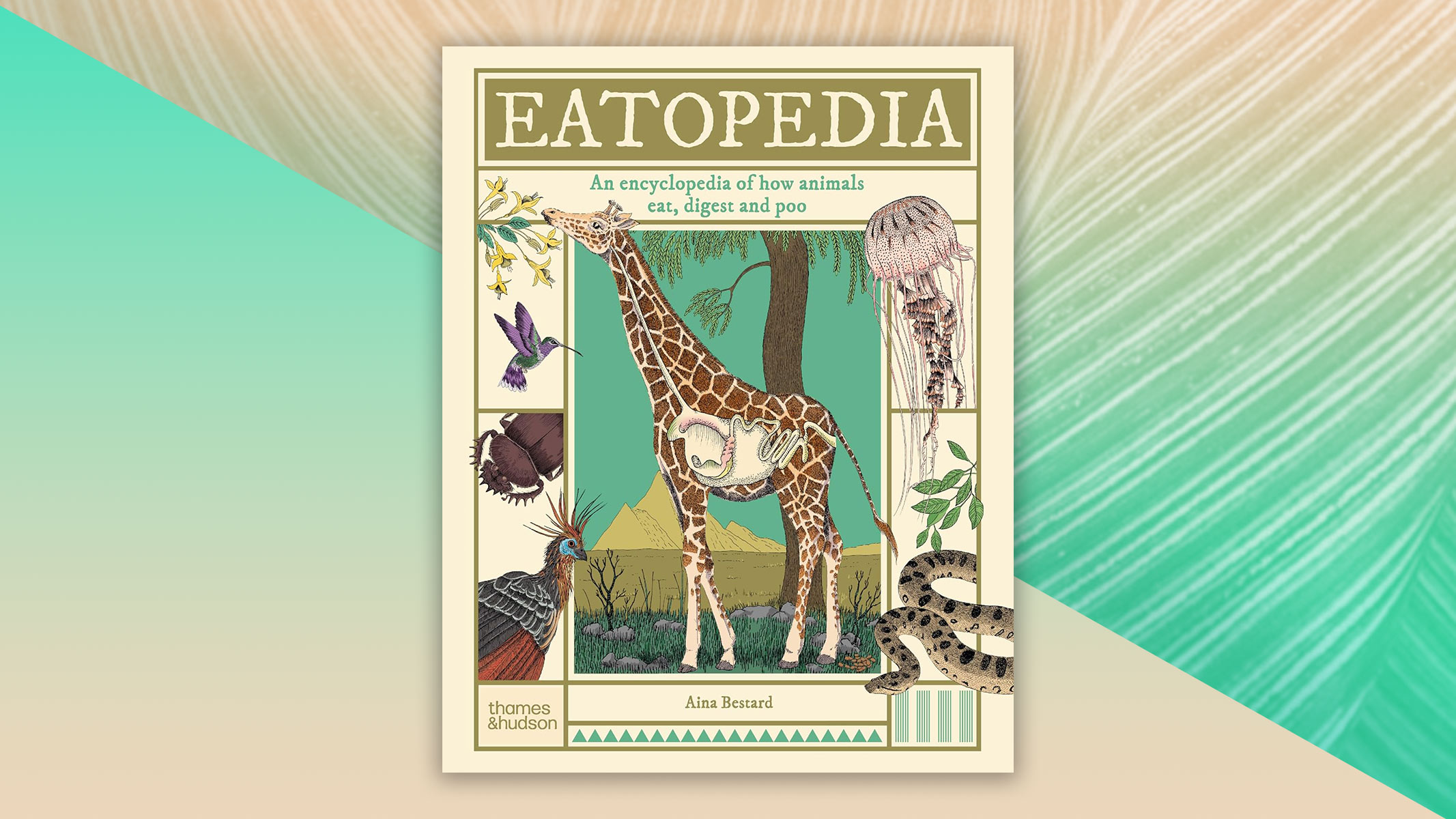 "Eatopedia: The Wild World of Animal Digestion" book cover