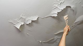 How to remove mold from your basement: image shows ceiling repair for mold damage
