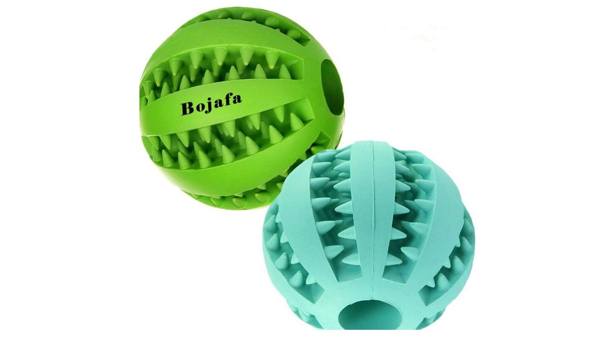 Best puppy toys Perfect playthings for young dogs PetsRadar