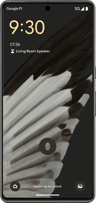Nest timer displayed on a Pixel