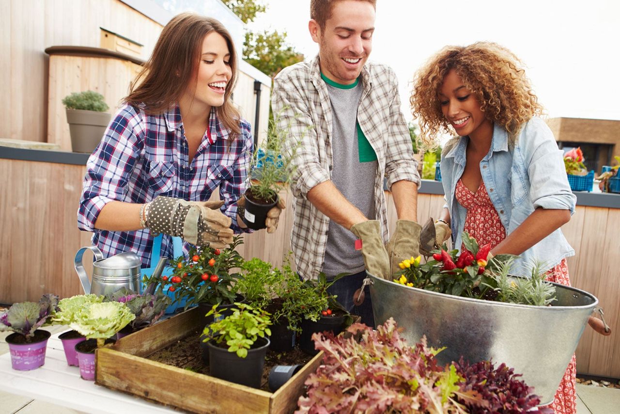 Three People Planting Flowers And Plants Into A Container