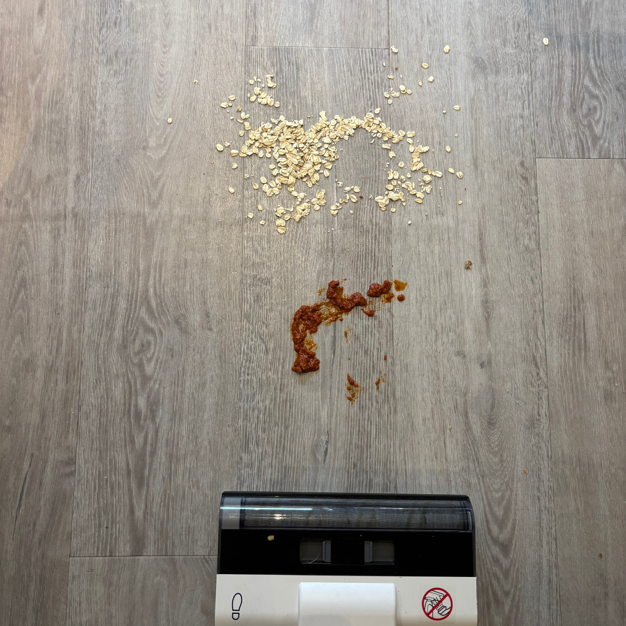 scattered oats and pasta sauce on hard wood flooring