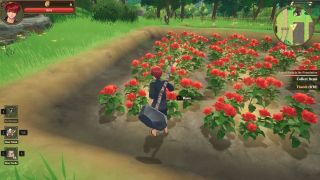 Tales of Seikyu - a player stands in a field of rose bushes and harvests one