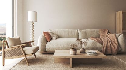 picture of japandi living room with low curved furniture and neutral palette 