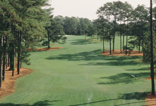 Augusta National 17th hole