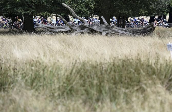 The peloton