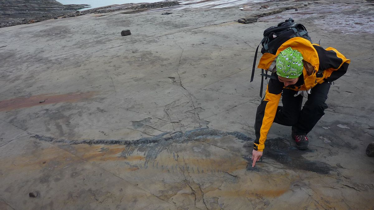 Judith Pardo Pérez with the ichthyosaur skeleton in Chile.