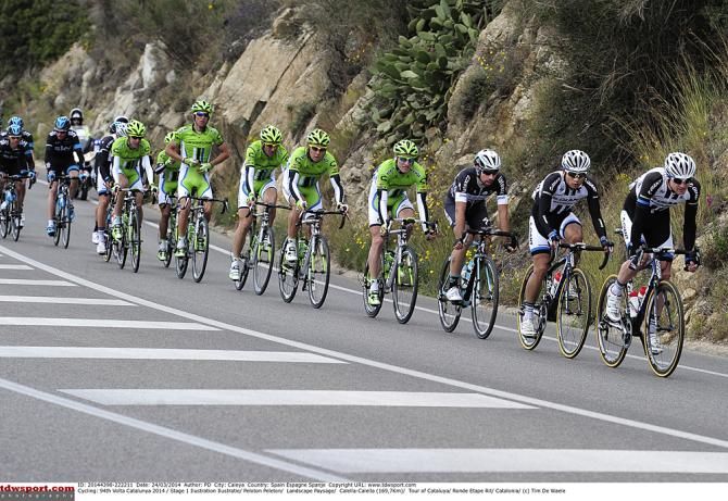 The Giant-Shimano team hunts down the breakaway
