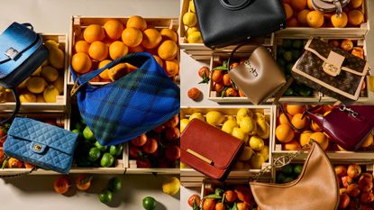 Three of the best new season designer handbags have been photographed from above on top of piles of fruit