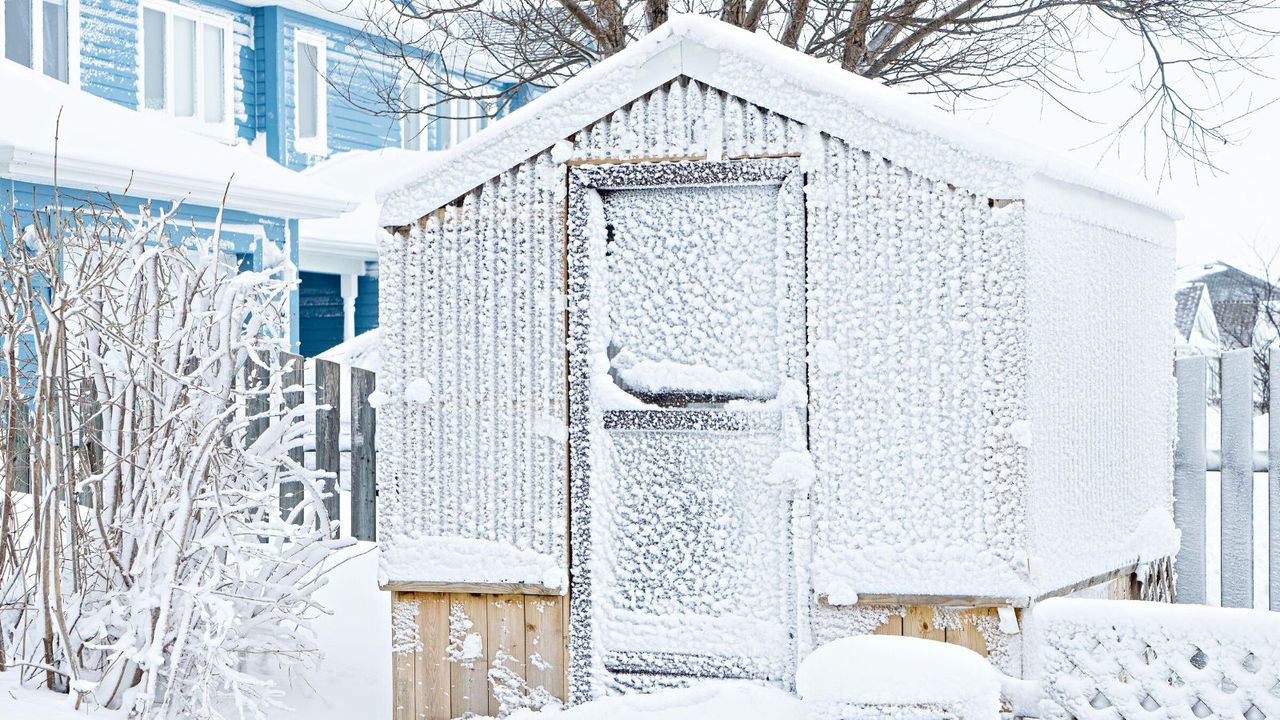 A greenhouse frosted over