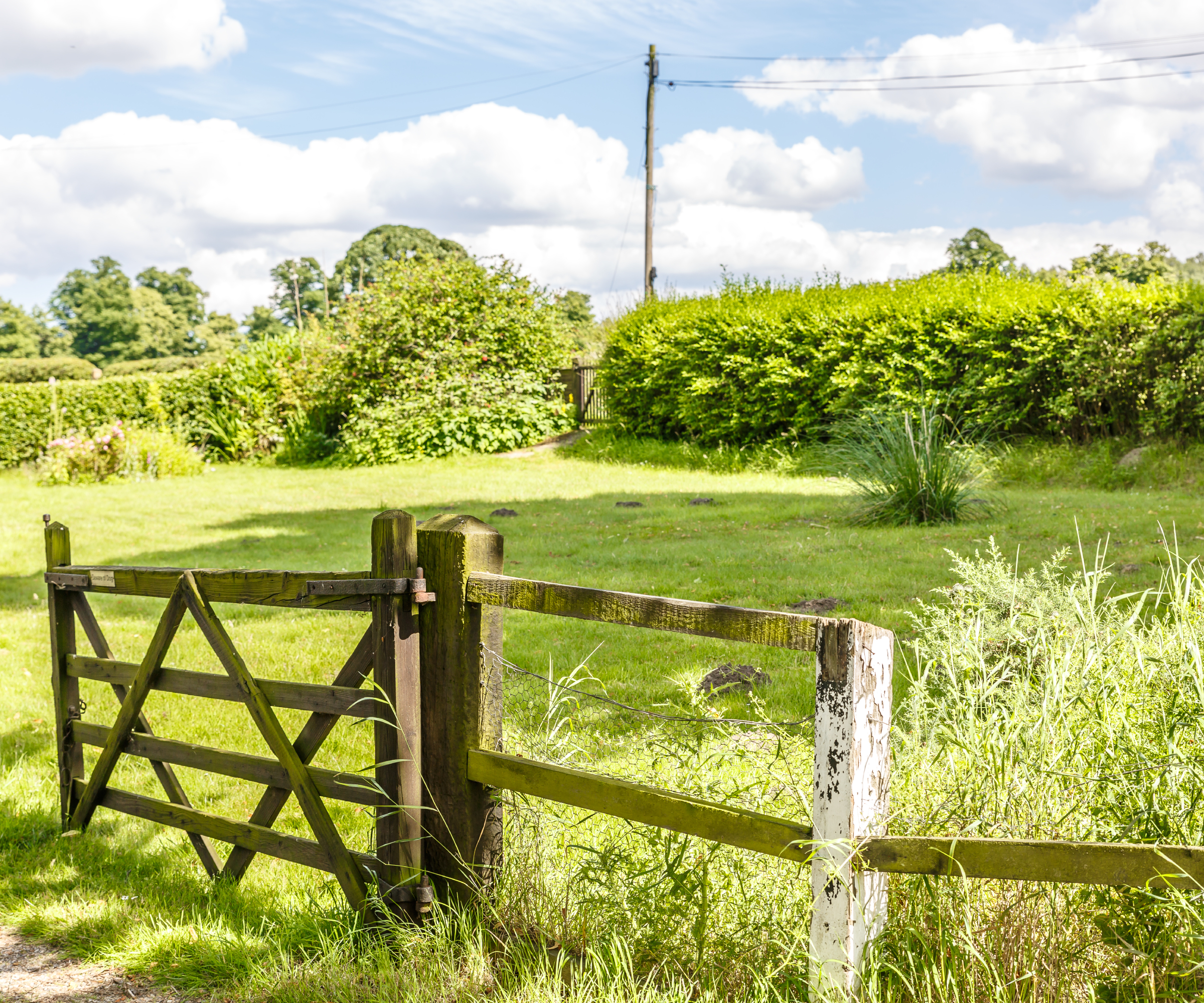 area of green land with fencing, gate and hedges around it