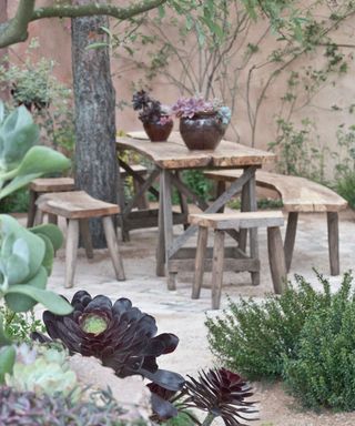 drought tolerant backyard with table, benches and planting