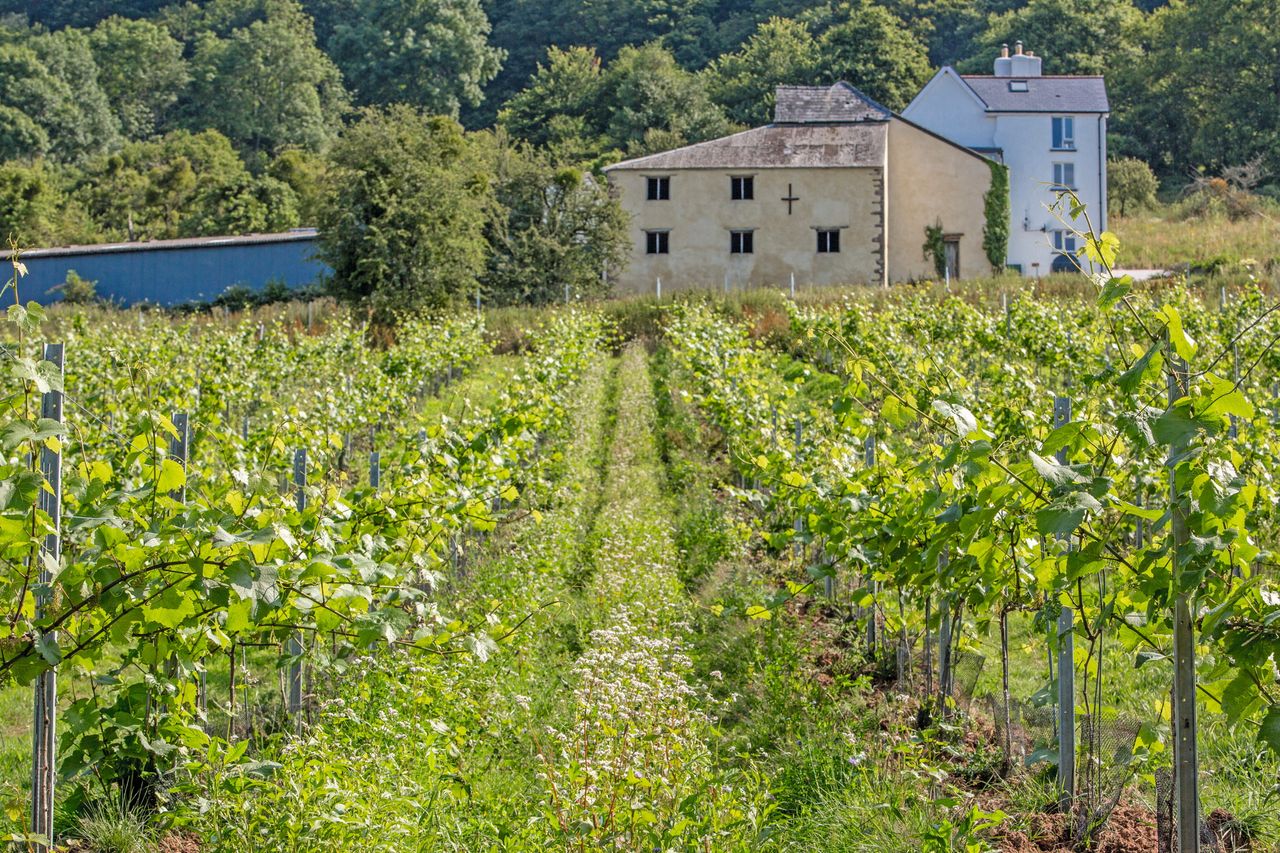 Newton Court Farmhouse, with its 114.75 acres, is for sale with Strutt &amp;amp; Parker.