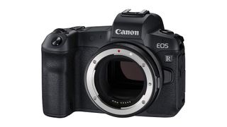 Best camera for stop motion - Canon EOS R