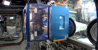 An image of the rodent habitat onboard the ISS, which looks like a glass room with a large blue box attached. On the large blue box there is a second clear box attached.