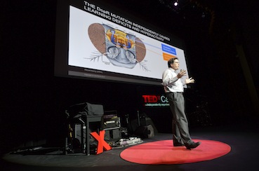 Vista Systems Spyder Goes Inside the Brain at TEDx Caltech