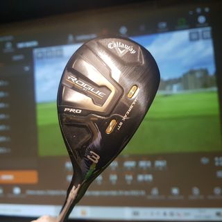 TrackMan screen and hybrid