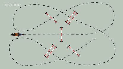 Butterfly jumping exercise diagram for horses