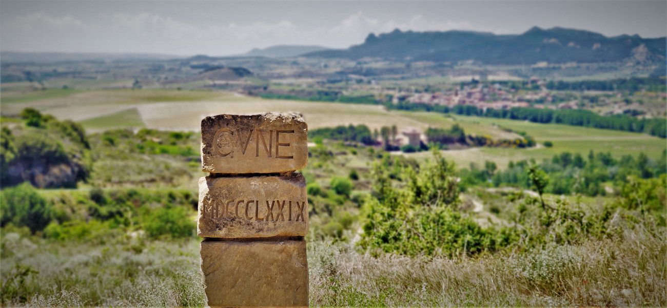 CVNE-stone-Labastida.jpg