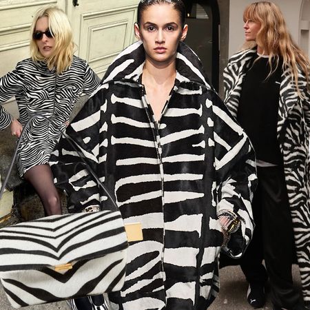 a collage of fashion influencer and runway images featuring 2025's zebra print trend