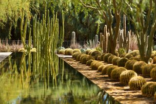 Sunnylands