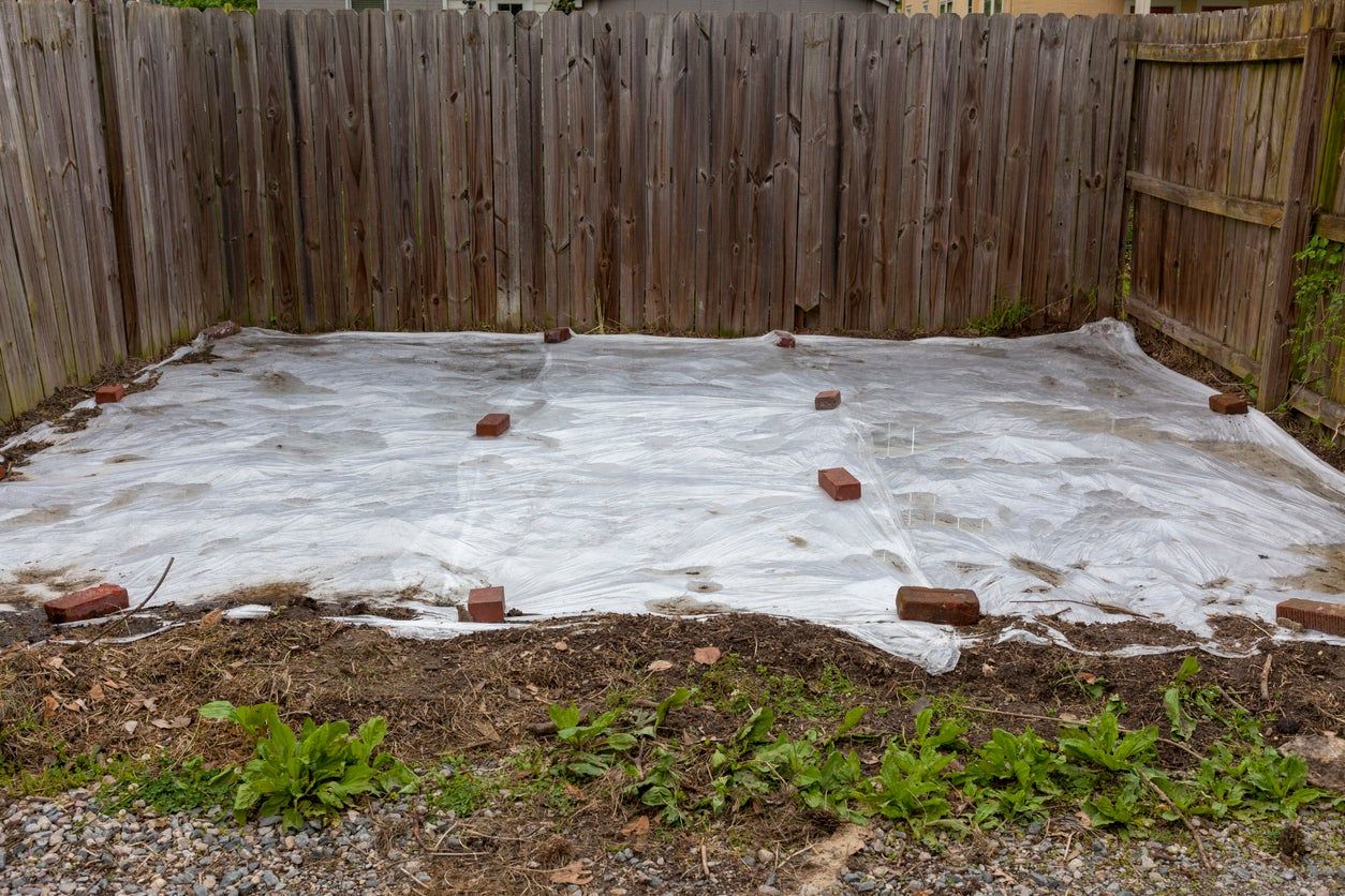 Solarized Garden Bed