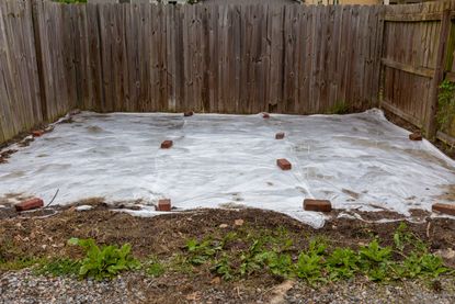 Solarized Garden Bed