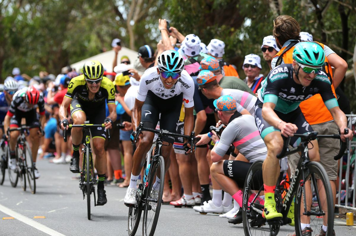 Egan Bernal (Sky)