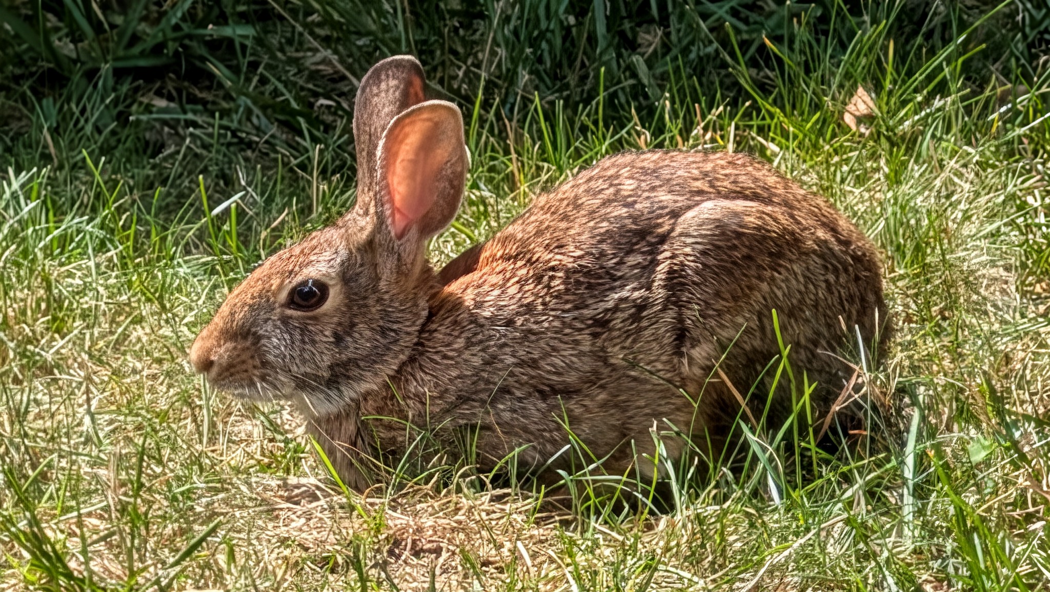 Photos taken with Google Pixel 9 Pro Fold