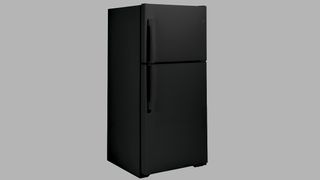 GE 21.9 Cu. Ft. Garage Ready Top-Freezer Refrigerator