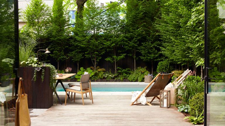 an outdoor garden space surrounded by trees