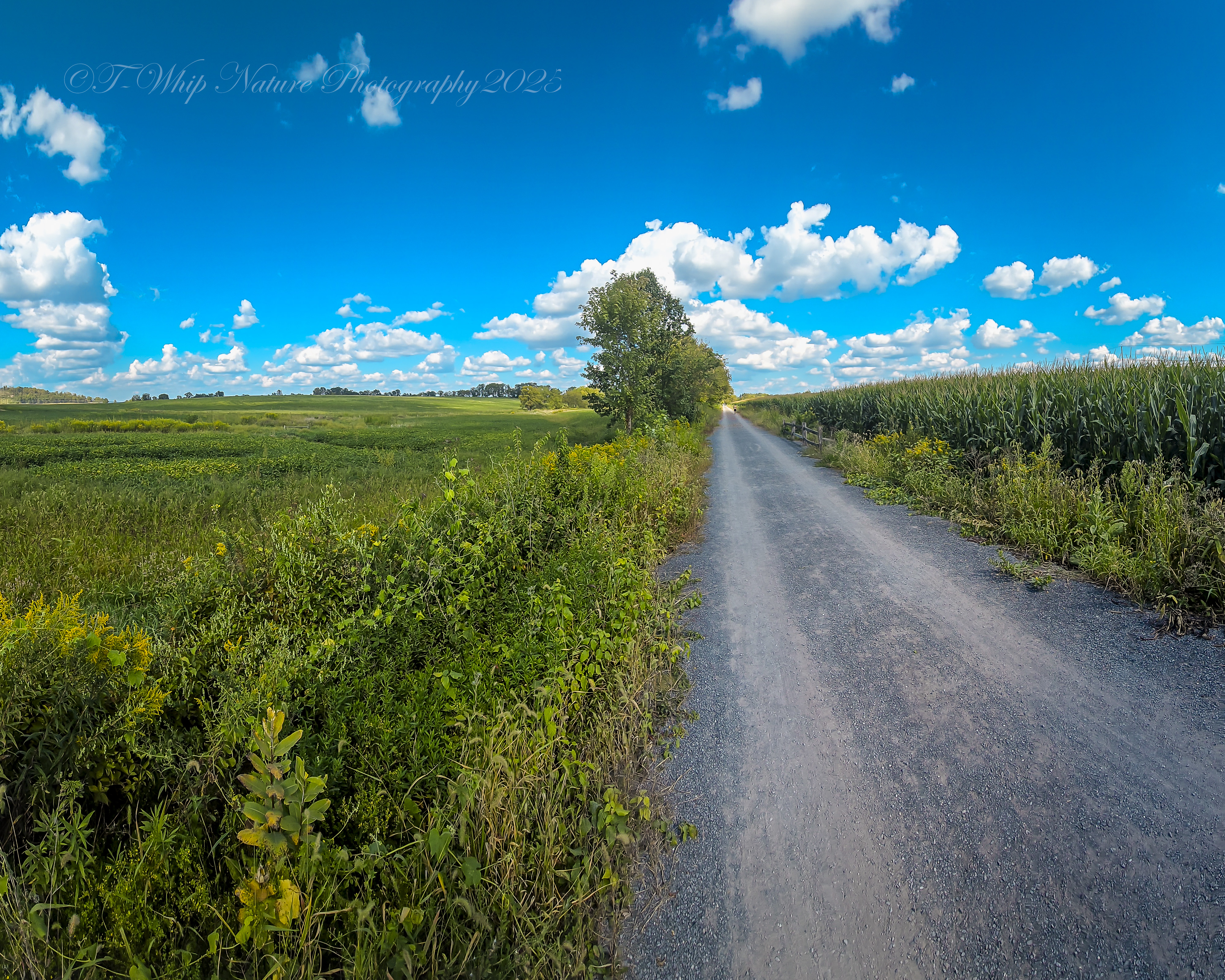 GuruShots March 2026