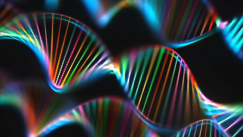 an artist&#039;s rendering of DNA double helixes in rainbow colors