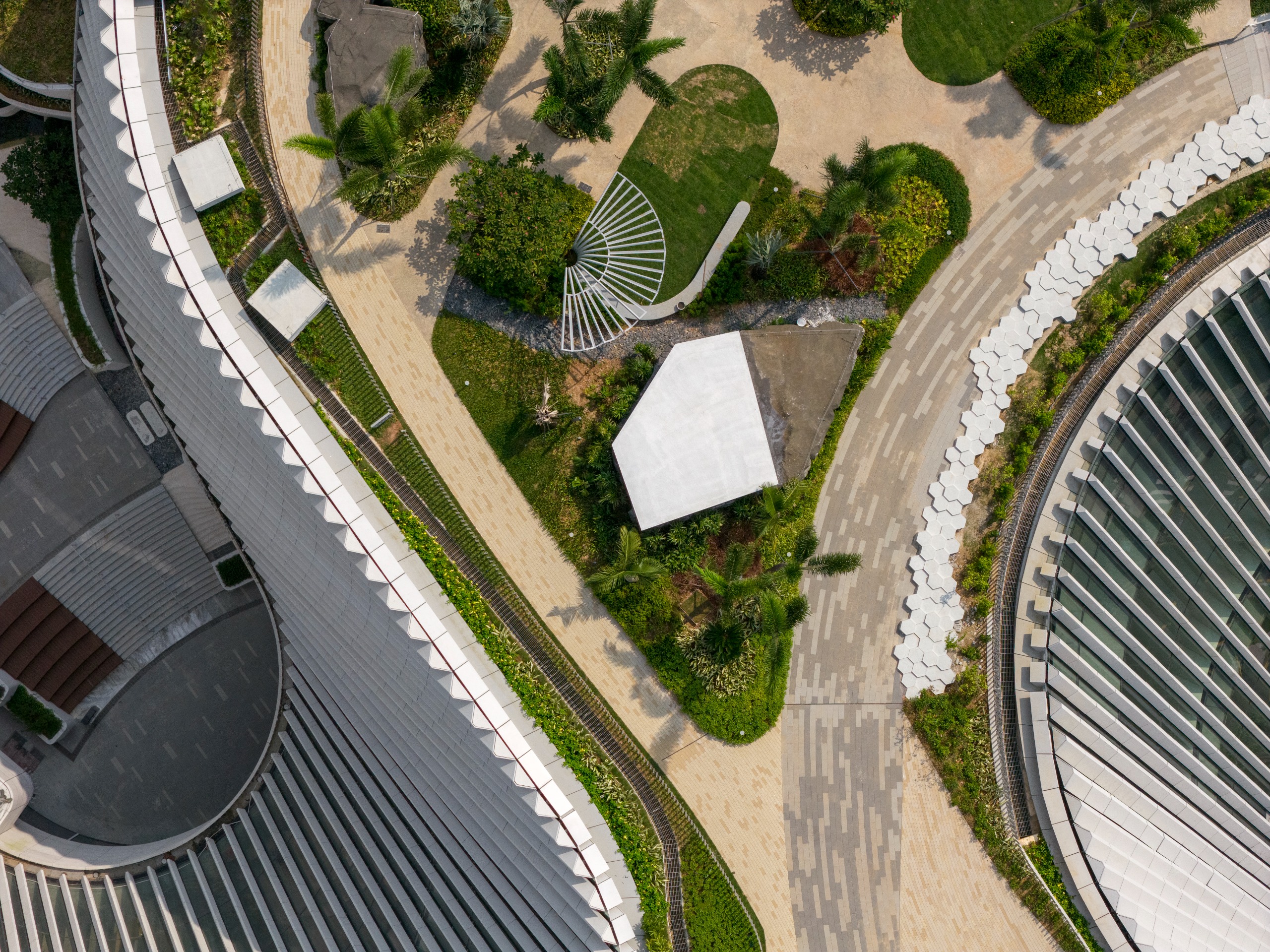 undulating forms of the Shenzhen Natural History Museum by 3XN, B+H Architects and Zhubo Design in a green park