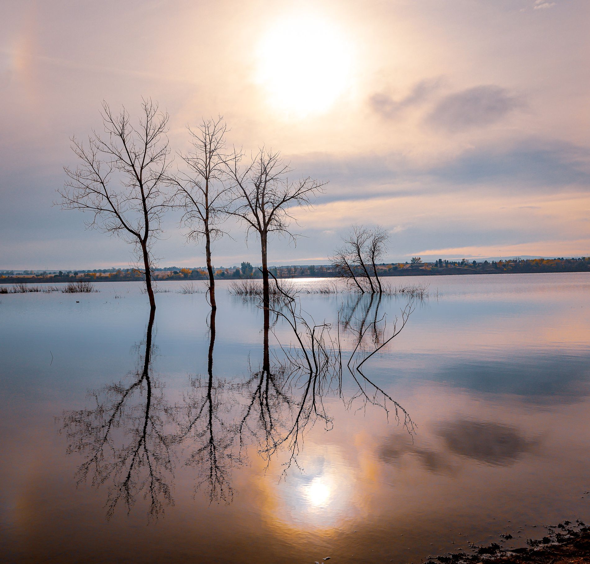 GuruShots - March 2026