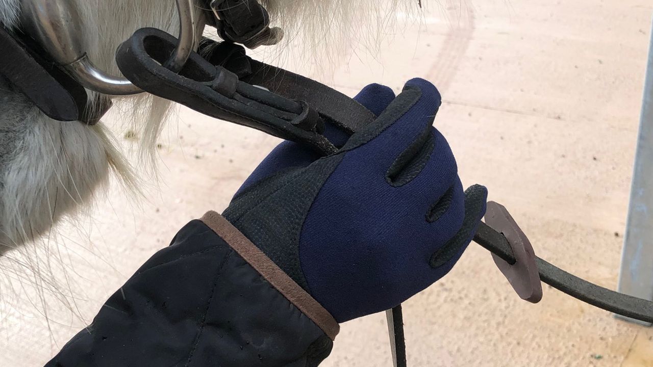 Woof Wear Precision thermal gloves