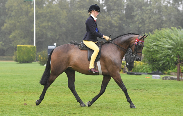 RIHS 29 07 2018