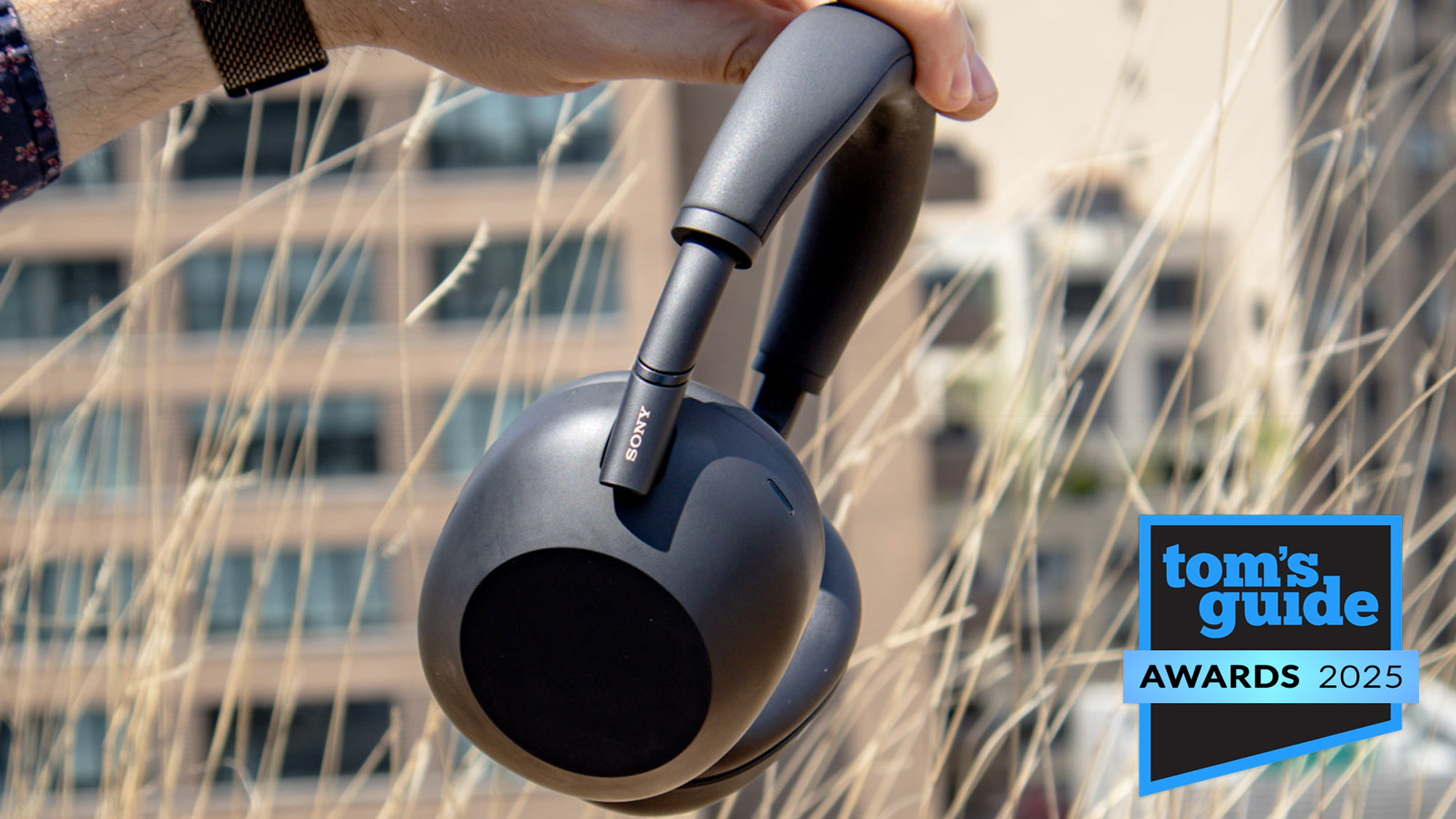 Sony WH-1000XM6