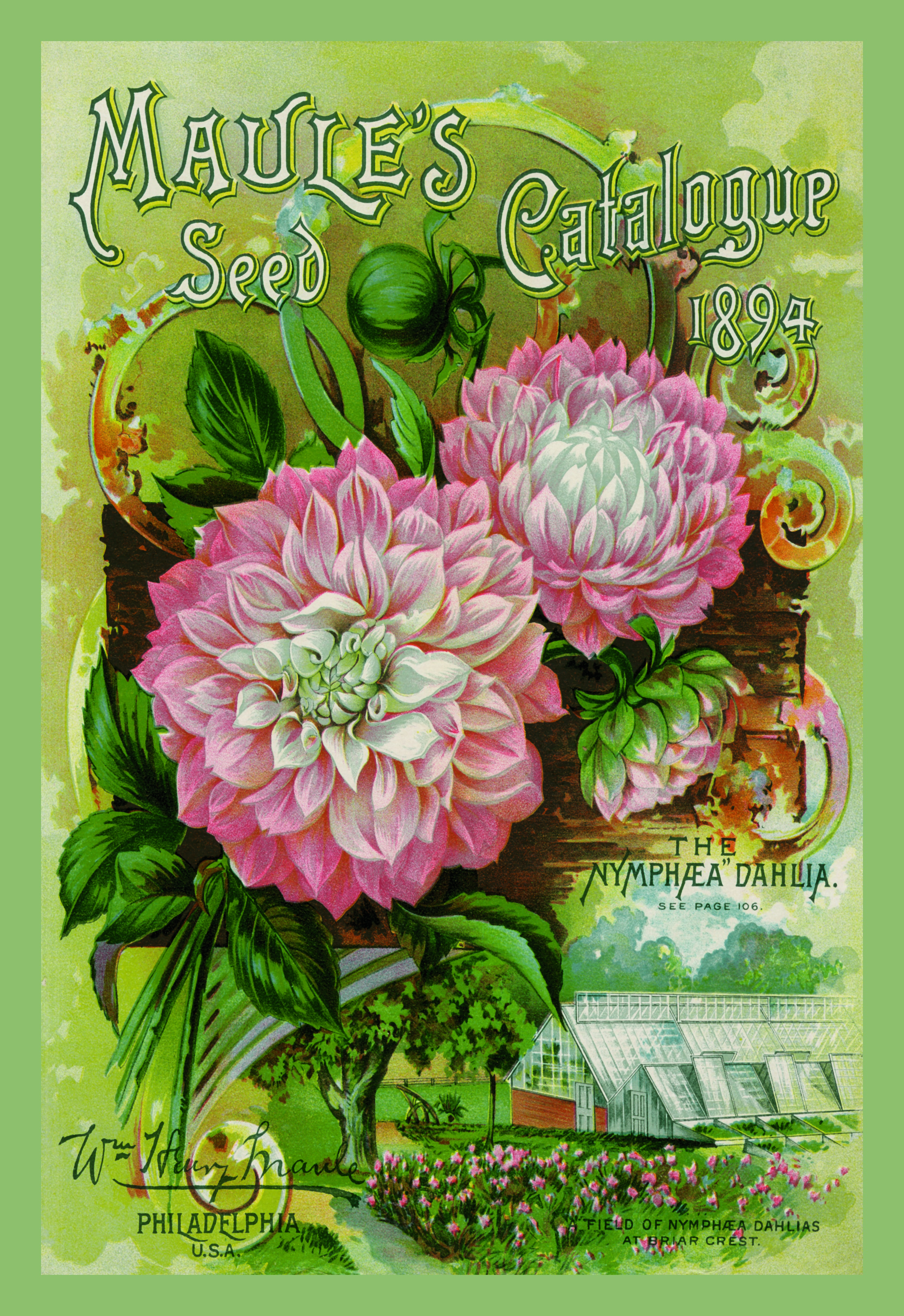 Maule's Seed Catalogue, 1894