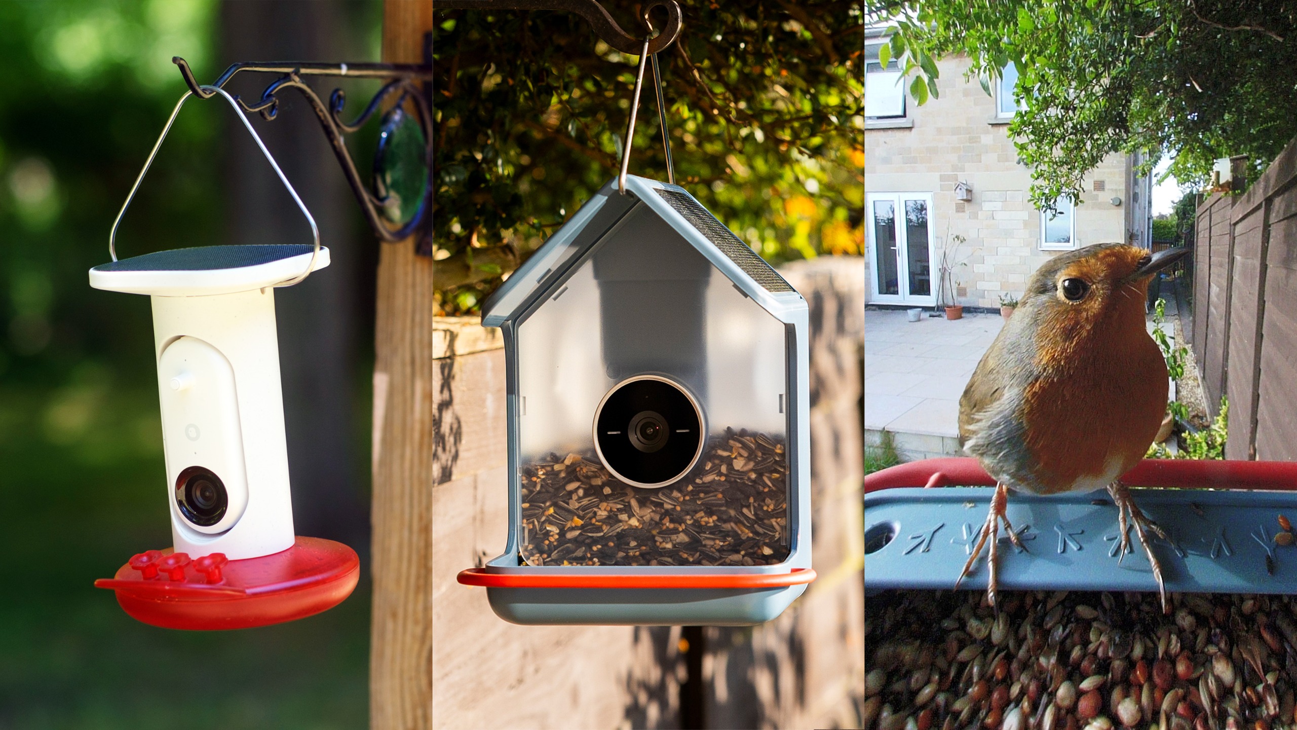 A triptych with two of the best bird feeder cameras hanging and a shot of a robin