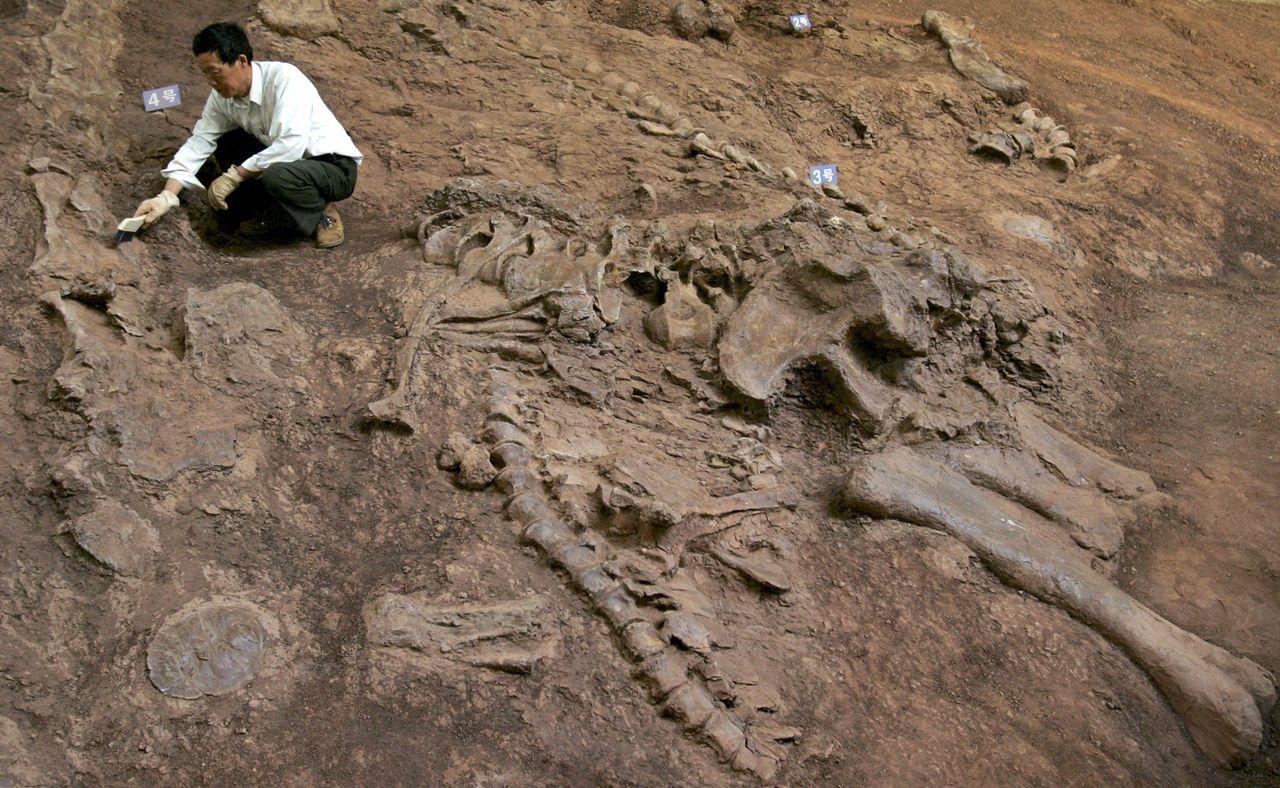 A man and a dinosaur fossil. 